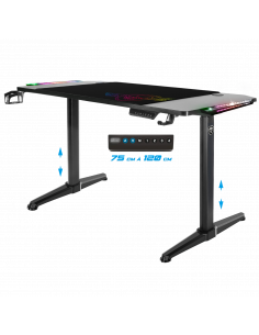 HAUPTSITZ 800