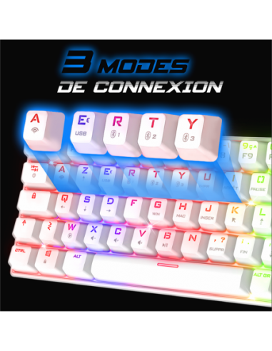 exemplaar van CLAVIER