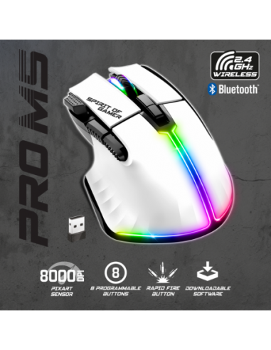 PRO M5 ARTIC WIRELESS PRO M5 ARTIC WIRELESS